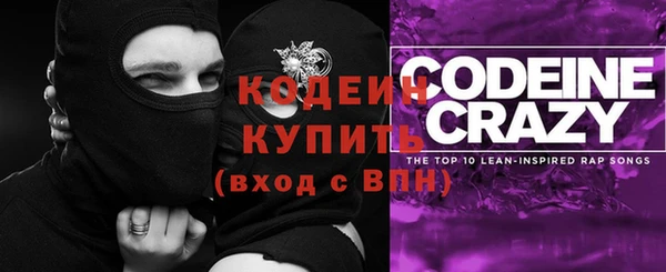 прущие грибы Абаза