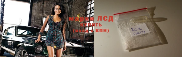 прущие грибы Абаза