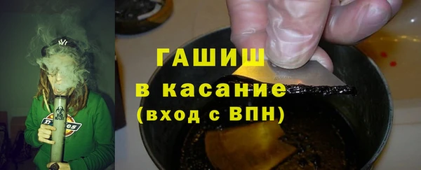прущие грибы Абаза