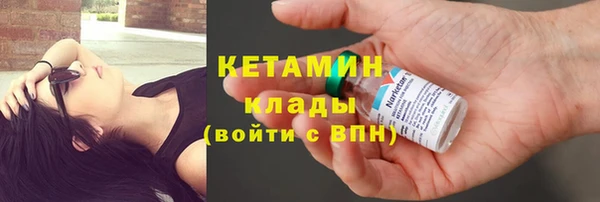 прущие грибы Абаза