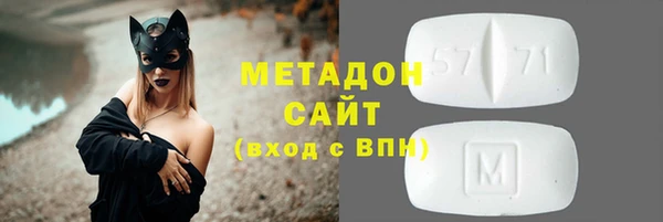 прущие грибы Абаза