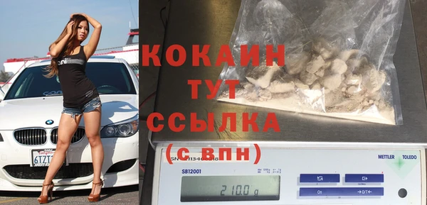 прущие грибы Абаза