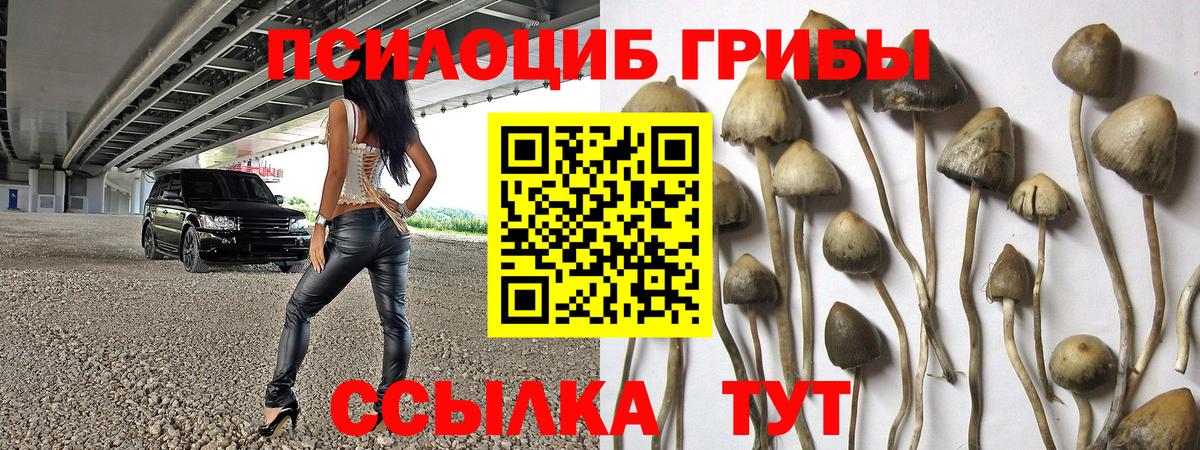 Азнакаево  Галлюциногенные грибы MAGIC MUSHROOMS  Псилоцибиновые грибы мухоморы  Вход с VPN 